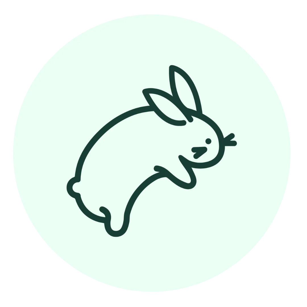 flip